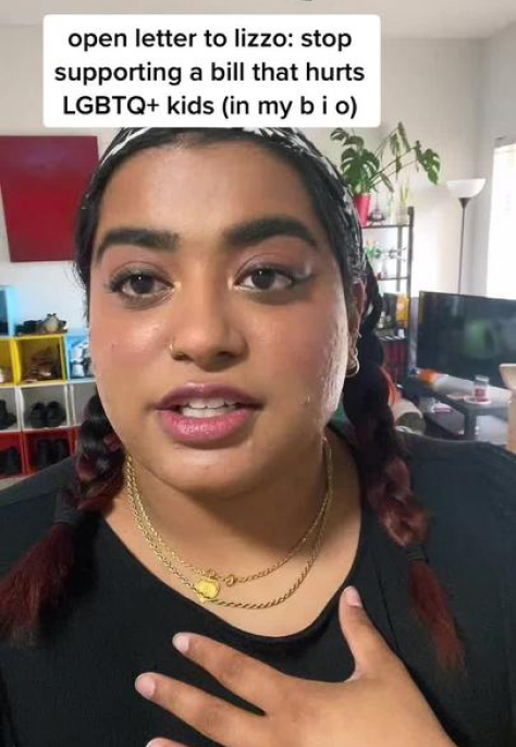 Campaigner Sarah Phillips organizing an open letter to Lizzo on TikTok.