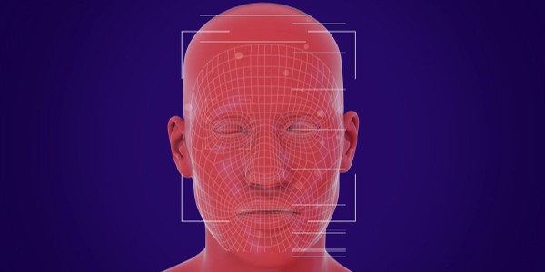 A face is scanned using facial recognition technology